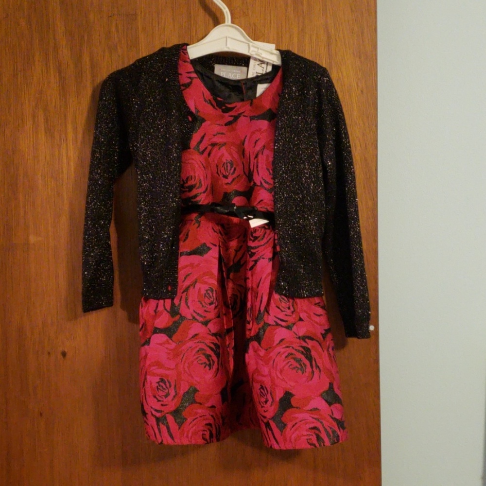 NWT 2-piece Children's Place 3T Dress & Sweater